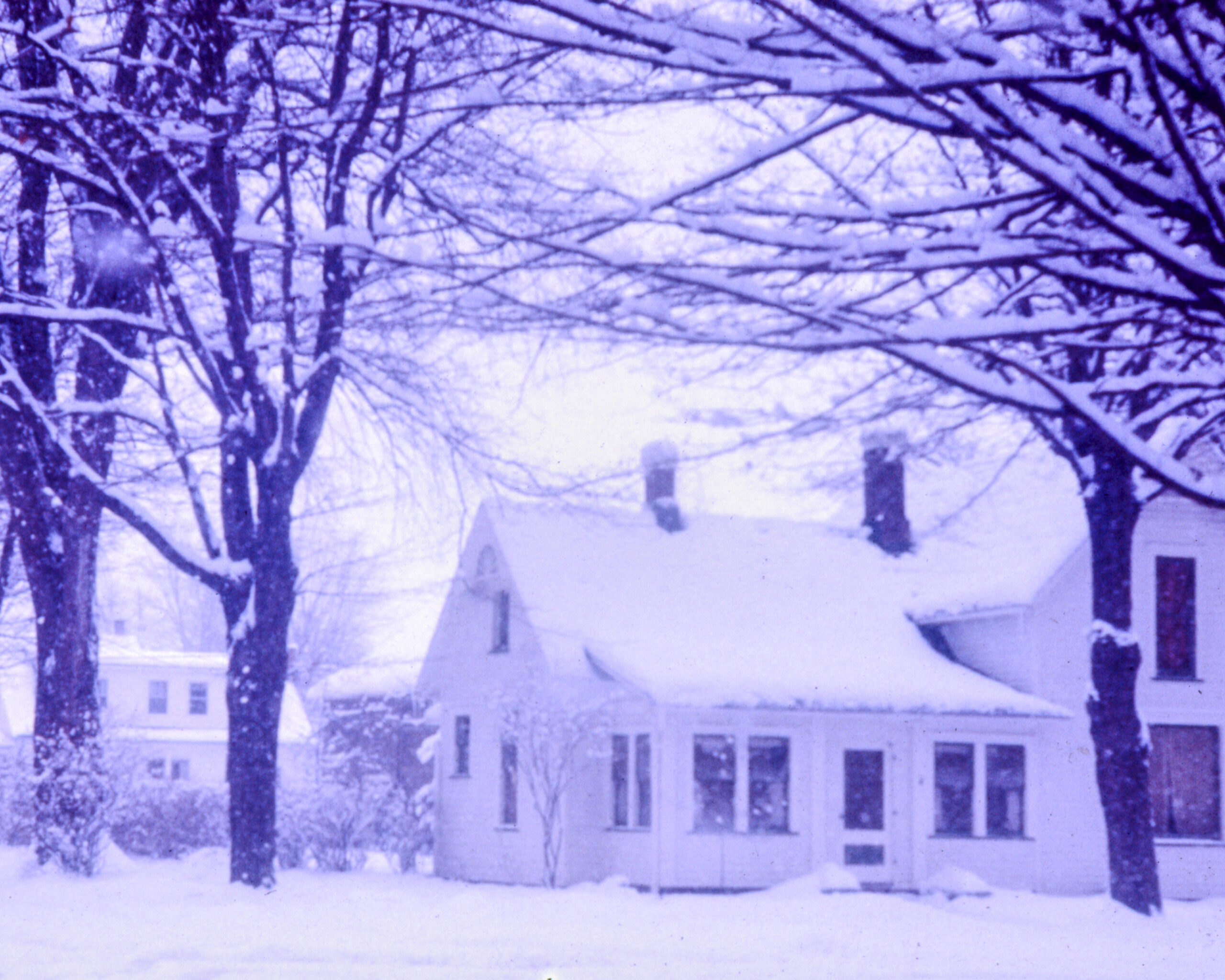 The house with snow