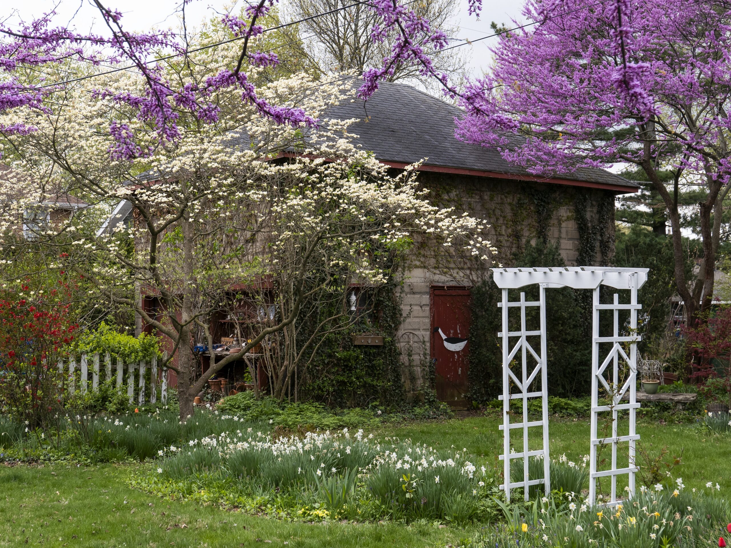 The garden in spring bloom, looking toward the carriage house